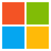 Microsoft Icon